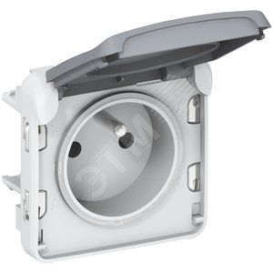 Plexo Розетка 2К+З SCHUKO серая (069551) - Legrand