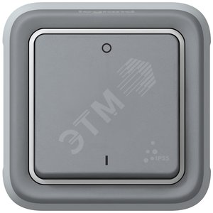 PLEXO Выключатель двухполюсный серый IP55 (069530) - Legrand