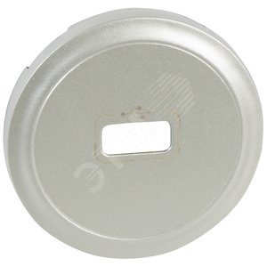 Панель лицевая розетки USB титан (068553)