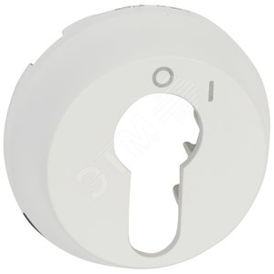 Celiane Лицевая панель выключателя с ключом 2-позиционный белая (068009)