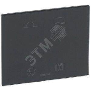 Сенсорное управляющее устройство - MyHOME - SCS - 4 сценария - Смальта Графит | 067295 | Legrand - Legrand