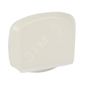 Celiane Лицевая панель выключателя с ключом-карточкой слоновая кость (066270)