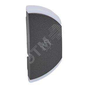 Панель лицевая MyHome SCS 1М освещение правая графит (64849)
