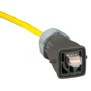 Вилка защитная RJ45 IP55 - Legrand