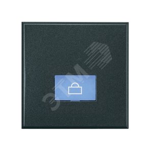 Axolute Клавиши с подсветкой для выключателей AXIAL 2 модуля символ Посыльный антрацит (HS4921/2LP) - Legrand