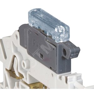Индикатор предохранителя 110/250 В (037525) - Legrand