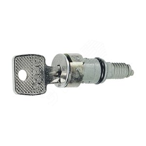 Вставка замка с ключами № 3113 A | 036827 | Legrand - Legrand