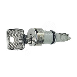 Вставка замка с ключами № 1242 E | 036825 | Legrand - Legrand