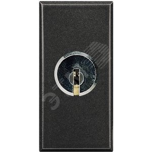 Axolute Выключатель 2Р 16А 250В~ с ключом антрацит (HS4012) - Legrand