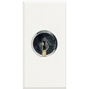 Axolute Переключатель на 2 направления 2Р 16А 250В~ с ключом белый (HD4022)