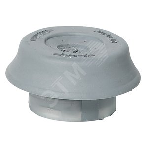 Набор Сальников (001955)