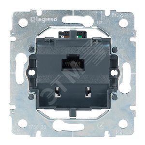 PRO21 Розетка комп. 1-ая 5 кат UTP (RJ45) с лапками | 775765 | Legrand - Legrand