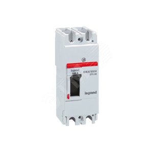 DRX125 термомагнитный 75A 2П 36KA | 027057 | Legrand - Legrand