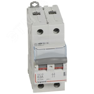 Выключатель-разъединитель двуполюсный 63А DX3 (406441) - Legrand