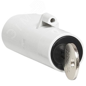 Замок Ronis для DPX3 (421045) - Legrand