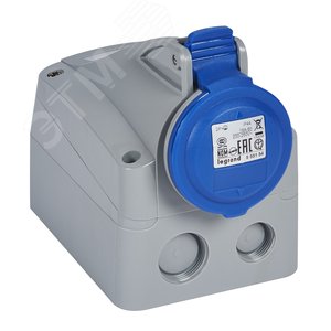 Розетка накладная 16А 2К+З 230В IP44 (555154) - Legrand