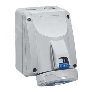 Розетка накладная 32А 3К+H+З 230В IP67 (555456) - Legrand