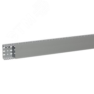 Transcab Кабель-канал перфорированный 100х40мм (636119) - Legrand