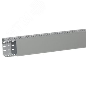 Transcab Кабель-канал перфорированный 100х60мм (636120) - Legrand