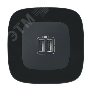 Valena ALLURE Зарядное устройство с двумя USB-разьемами 240В/5В 1500мА С лицевой панелью Антрацит (754998) 3