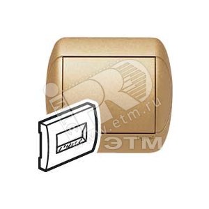 GaleaЛ.п. д/роз.RJ45 брон. - Legrand
