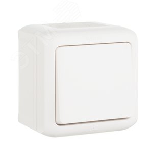 Выключатель одноклавишный, наружный IP44, 10А, белый (782300) - Legrand