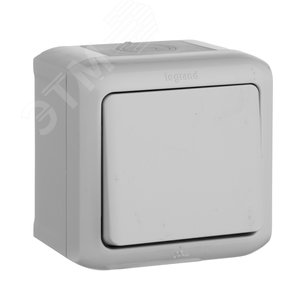 Quteo Переключатель одноклавишный наружный IP44 серый 10А - Legrand Euro