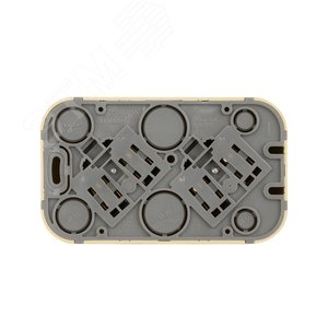 Quteo Сосна Розетка 2-я с/з | 782273 | Legrand 3