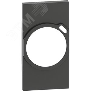 LIVING NOW. Лицевая панель для комбинированных розеток 2К+З/USB 2 модуля.Цвет Черный. - Legrand