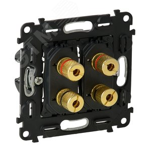 Valena IN MATIC Аудиорозетка с винтовыми зажимами банан Двойная (753077) - Legrand