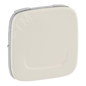 Valena ALLURE MyHome Play Zigbee  Лицевая панель для радиоуправляющего устройства 1-канального ON-OFF Слоновая кость - Legrand