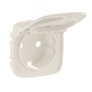Valena ALLURE Лицевая панель розетки 2К+З с крышкой Слоновая кость (754846) - Legrand