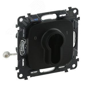 Valena ALLURE Выключатель с ключом 2 положения 10А 230В с лицевой панелью антрацит (755238)