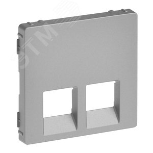 Valena LIFE Лицевая панель для двойных телефонных/информационных розеток Алюминий (755422)