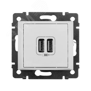 VALENA Розетка двойная USB белая (770470) - Legrand
