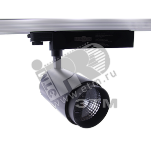 Светильник светодиодный ДВО-1x30Вт, ВтESEN LED, 1900Лм, 28 град, 3000К, Led-чип, прожект, белый - Lival