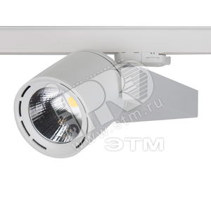 Светильник светодиодный ДВО-1,43Вт, ALERT LED CYLINDER, 5724Лм, 30град, 4000К, Led-чип, прожект.серый - Lival