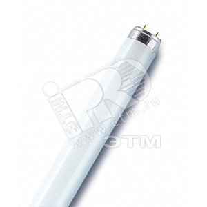 Лампа люминесцентная ЛЛ L 36W/73 20х1 Osram (54715) - LEDVANCE
