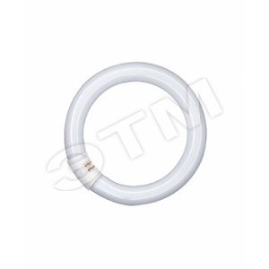 Лампа люминесцентная кольцевая ЛЛ 22Вт L 22/840 белая Osram (581082) - LEDVANCE