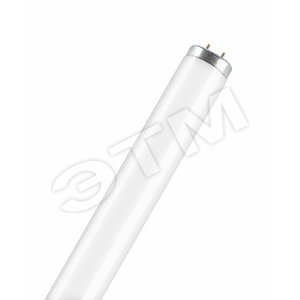 Лампа линейная люминесцентная L 40W/640 SA 25х1 Osram (018331) - LEDVANCE