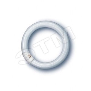 Лампа люминесцентная кольцевая ЛЛ 32вт L 32/640 белая Osram (209418) - LEDVANCE