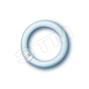 L 32W/765 C G10Q 12X1 OSRAM (209371) - LEDVANCE