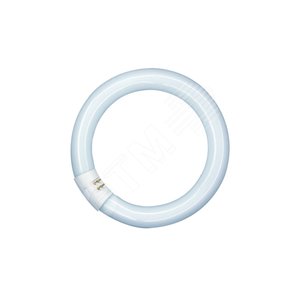 Лампа люминесцентная кольцевая ЛЛ 32вт 32/840 С G10q EN белая Osram (581143) - LEDVANCE