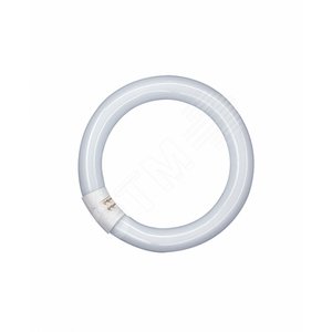L 22W/827 C G10Q 12X1 (4008321581068) - LEDVANCE