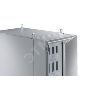 TS Защитный кожух с дверью 2000x600mm - RITTAL