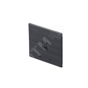 Крышка держателя торцевая 4x60/100x10мм (2шт) - Rittal