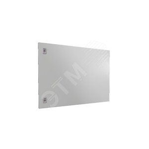 VX Секционная дверь 800х600 1шт - RITTAL