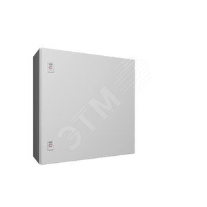 AX Шкаф RAL7035 с МП 600х600х210мм (1060000) - RITTAL
