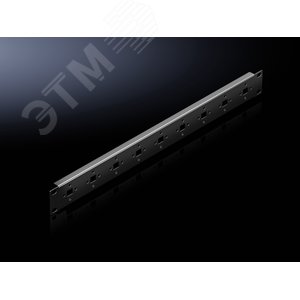 DK Монтажная панель 19д 1U RAL9005 1шт - Rittal