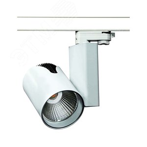 Светильник светодиодный ДПО-30 Вт, 3000K,         теплый белый, 36°, CASTOR LED (17106) - Vivo Luce!